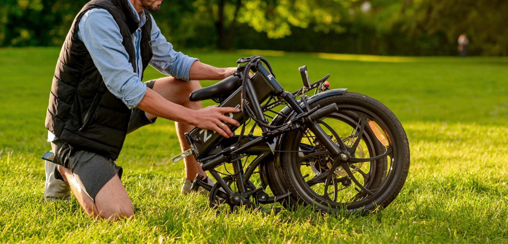 PVY